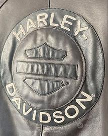 Giacca in pelle da uomo Harley-Davidson® 97196-18E