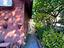 Immagine 14
