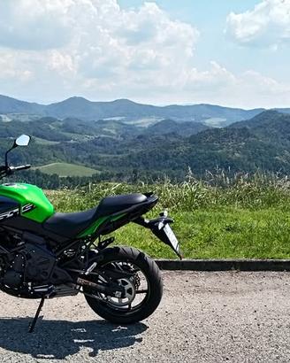Kawasaki Versys 650