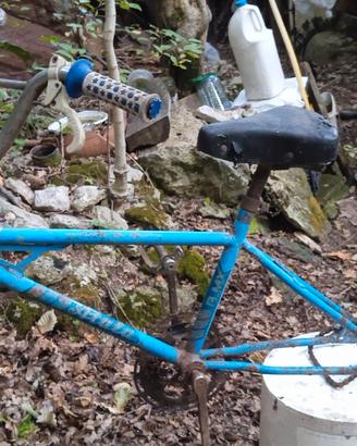 Atala bmx anni 80