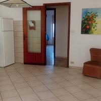 Zona libertà/Notarbartolo