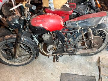 Benelli leoncino 125 anni 50