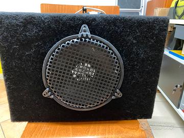 Sub woofer Professionale