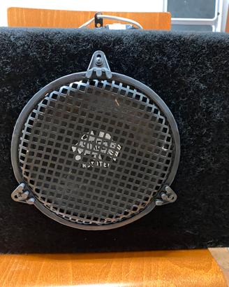 Sub woofer Professionale