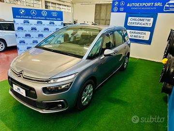 Citroen Grand C4 SpaceTourer /2020/automatic/80.00