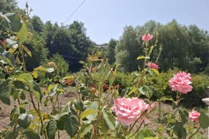 Delizioso alloggio nel cuore del Parco del Pollino