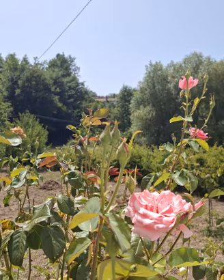 Delizioso alloggio nel cuore del Parco del Pollino