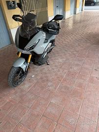 Xadv 2025