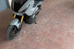 Xadv 2025