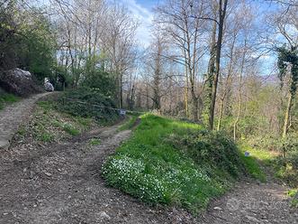Terreno agricolo Montevecchia