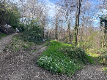Terreno agricolo Montevecchia