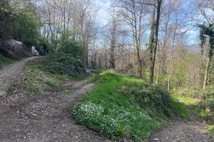 Terreno agricolo Montevecchia