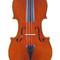Violino liuteria M. Preseglio 
