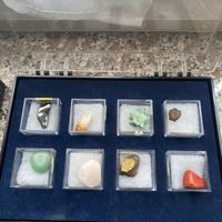 Collezione minerali fossili