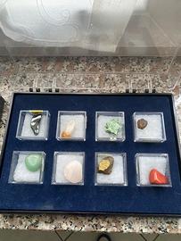 Collezione minerali fossili