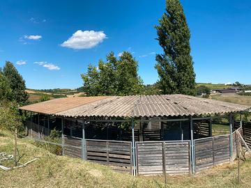 Giostra ovale per movimento cavalli