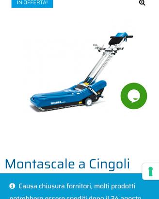montascale a cingoli per disabili