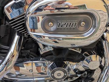 Harley Davidson sportster 1200 XL custom anno 2014