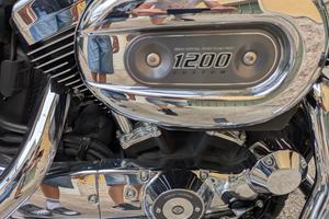 Harley Davidson sportster 1200 XL custom anno 2014