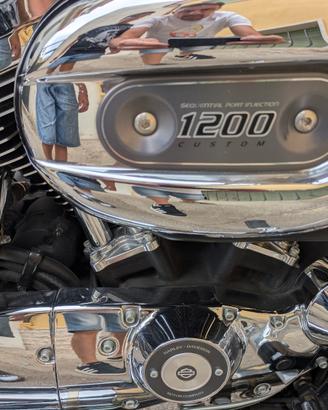 Harley Davidson sportster 1200 XL custom anno 2014