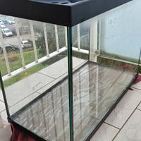 Acquario 80L + filtro