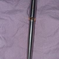 Penna Stilografica Parker