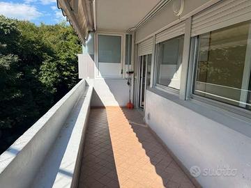 Trento, ampio tre stanze con cantina