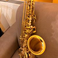 Sax Alto Yanagisawa AW 010 new