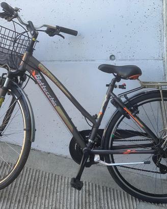 Bottecchia Verde Natura 28” – Shimano 21v – City B