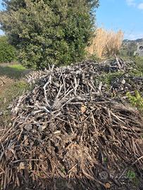 Lagna da ardere secca di oliva 