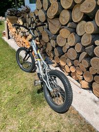 Bici da trial