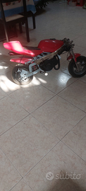Mini moto 50