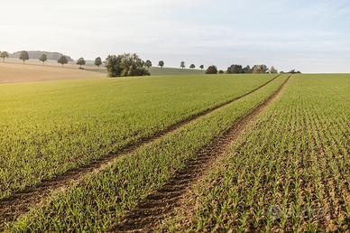 Terreno agricolo Formigine - Montale