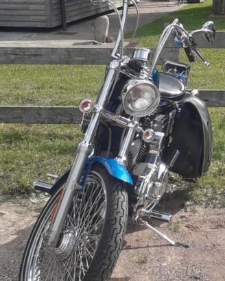 Harkey Davidson Sportster 1200 XL Custom