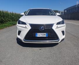 LEXUS NX 2ª serie - 2019