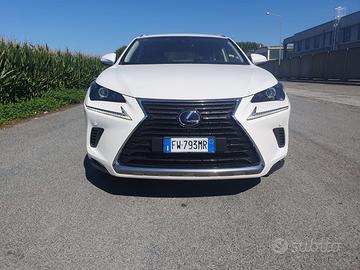 LEXUS NX 2ª serie - 2019