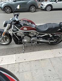 Harley Davidson v-rod 2005