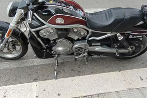 Harley Davidson v-rod 2005