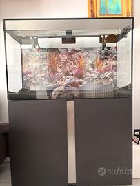 Acquario
