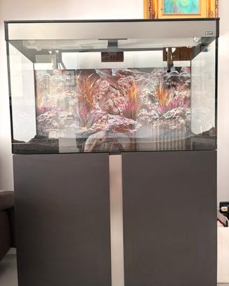 Acquario