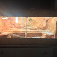 terrario per rettili