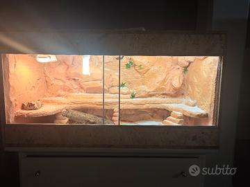 terrario per rettili