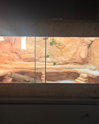 terrario per rettili