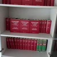 Codice civile commentato