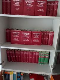 Codice civile commentato