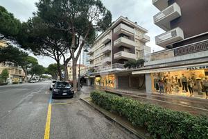 3 LOCALI A CESENATICO