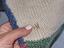 Immagine 6