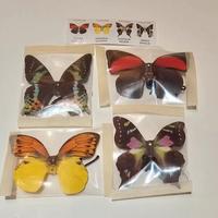 Kinder Ferrero Sorpresa COMPONIBILI 