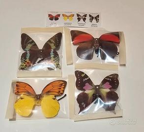 Kinder Ferrero Sorpresa COMPONIBILI 