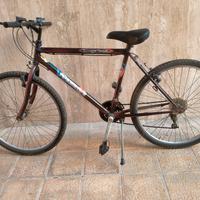 bici da passeggio 